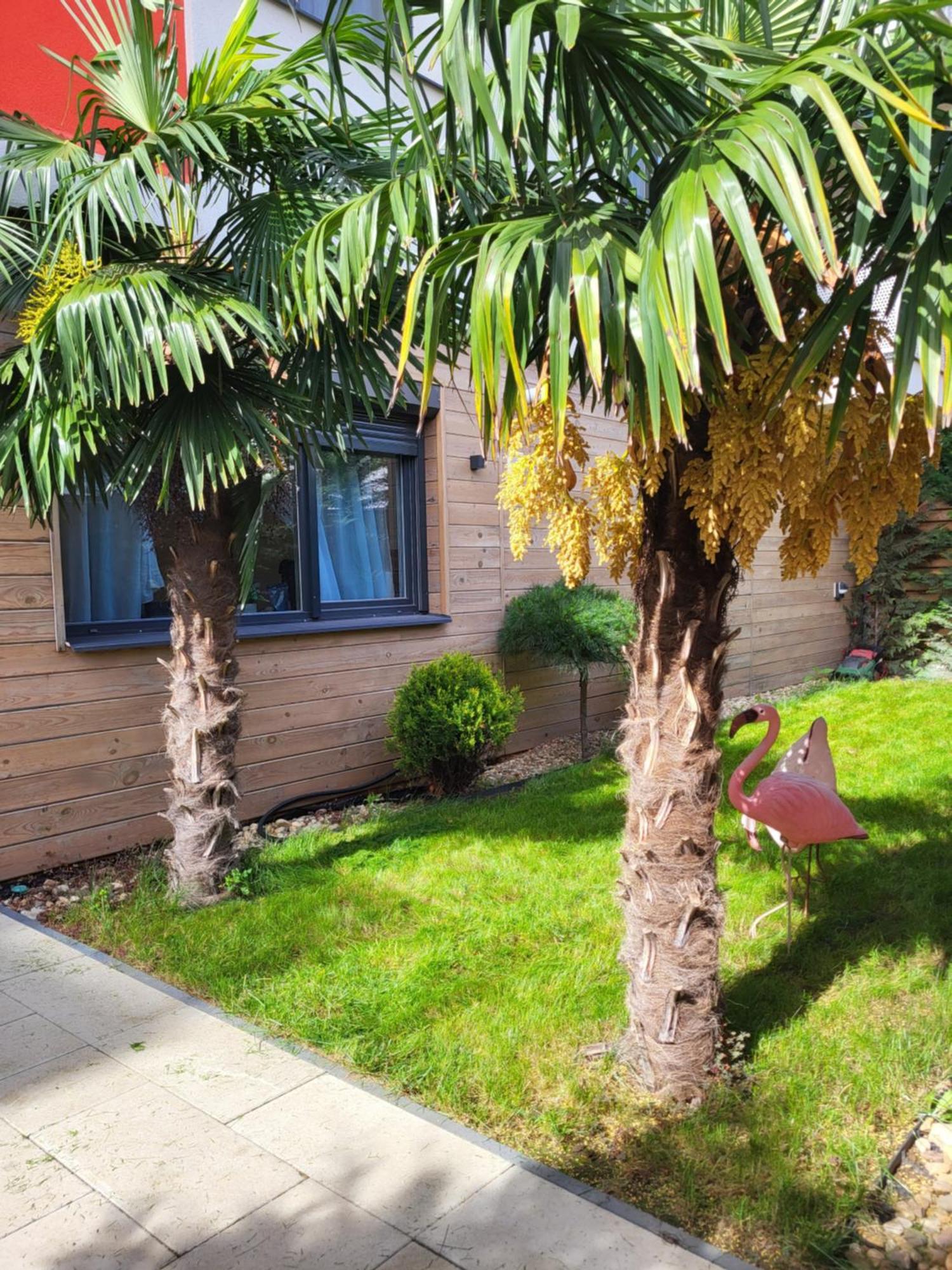 Sika Garden Apartment Arad Exterior foto